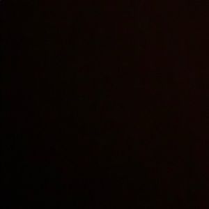 Meet your Posher, Koko